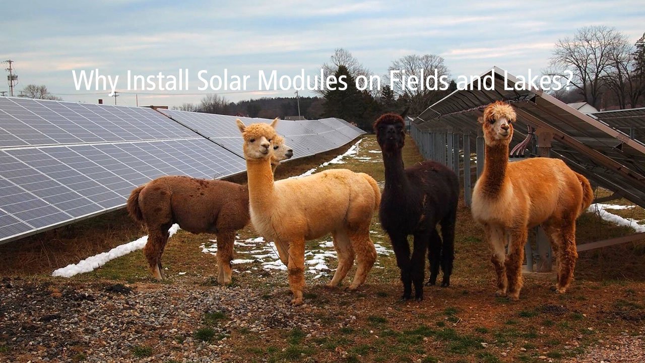 Why Install Solar Modules on Fields and Lakes